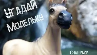 Challenge 