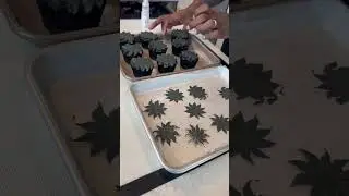 No more boring #cupcakes