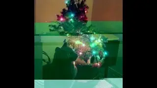 The Figgy Pudding Incident