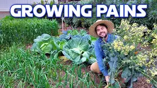 My Flowering Broccoli And Monster Cabbages | Garden Reset