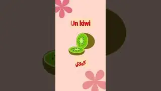 تعلم اللغة الفرنسية ببساطة و سهولة  #افضل #كروس #لتعليم #اللغة #الفرنسية #تعليم #تعلم &(1)