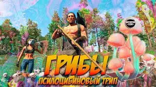 Грибы: Псилоцибы ГАЙД SCUM 0.7.150 Трип в игре Fury Scum