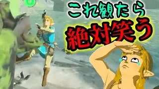 【総集編】面白いシーン詰め合わせ！【ブレワイ】