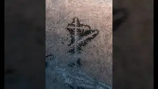Сигналы Жизни Вечной !
