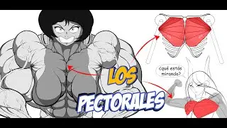 Como Dibujar Los Pectorales Fácil