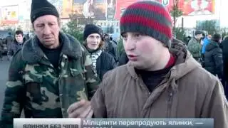 У Львові продовжується продаж нелегальних ялинок