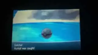 Pokemon X and Y: Shiny Huntail
