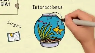 ¿Qué es la ecología?