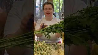 Уход за ромашками 🍀 #цветы #ромашки