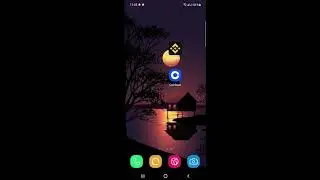 How to get Doge Protocol (DogeP) tokens using MetaMask App on a mobile phone?
