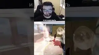 Как же он чувствует 😅