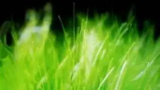 Relaxation Music-Part2