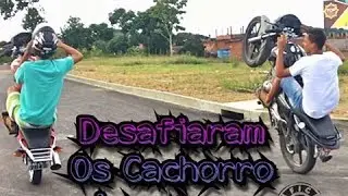 GILDO E RIQUINHO EM... ''GRAU LOUCO DOS CACHORRO LOUCO'' /// ESPECIAL 30K Ep 2 ///