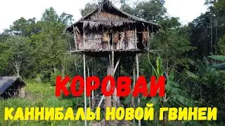 Part 1. The Cannibals of New Guinea. Korowai. Каннибалы Новой Гвинеи. Короваи.
