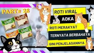 REVIEW ROTI VIRAL AOKA BERSAMA KUCING SPHYNX