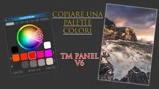 Color Theory - TM Panel V6