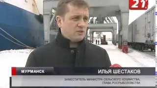 Мойва дорогая, потому что вкусная