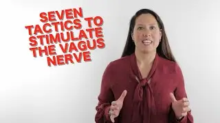 SEVEN Tactics to Stimulate the Vagus Nerve