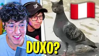 Duxo me ENSEÑA sus LIKES de TikTok...