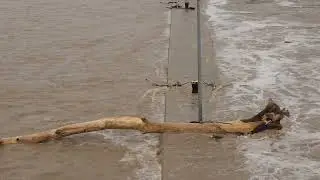 Neckar Hochwasser in Stuttgart - Hofen