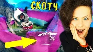 ПРОВЕРКА ЛАЙФХАКОВ для КОТА и СОБАКИ Проверяю ЛАЙФХАКИ для животных Magic Family