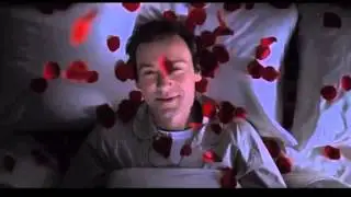 american beauty rose petal scene with beautiful music