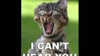 FUNNY PICTURES