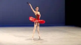 Yunting Qiu - 2013 Selections - Classical variation