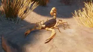 {PLANET ZOO} Giant Desert Hairy Scorpion Exhibit Build