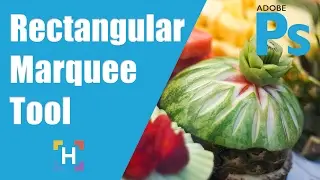 How To Use The Rectangular Marquee Tool In Photoshop - HigherLearningLab.com
