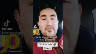Técnicas de Caja Blanca!
