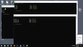 Rapise with Selenium Grid - Nested Parallel Test Execution