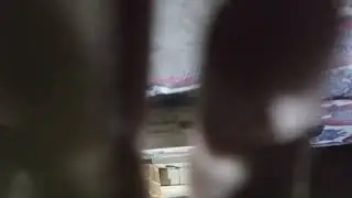 jajan p$k Makin ganas Kamunya