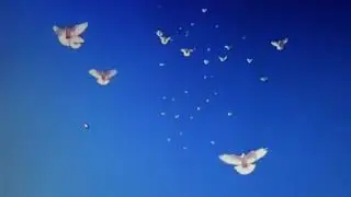20171026143630 1