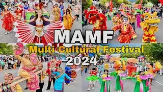 MAMF Multi Cultural Festival in South korea