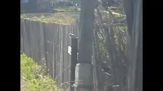Встреча с бурундуком на даче (с песней из фильма: 