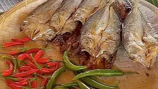 GINISANG DAING SA KAMATIS I JOSEPH THE EXPLORER