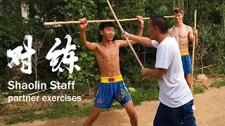 Shaolin Xinyiba - Master Hu teaching staff partner work