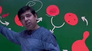 Lysosome Biogenesis: The Ultimate Guide #LysosomeBiogenesis #CellBiology #ScienceEducation