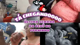 VLOG: última consulta pré natal/38 semanas |Thaiane Massarim