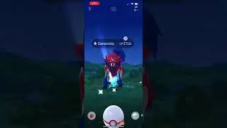 Zamazenta raid 2