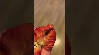 Слизняк в клубнике. Живые ягоды)))