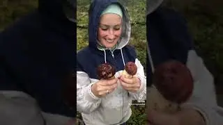 Ещё боровики. Собираемся грибочки ☺️