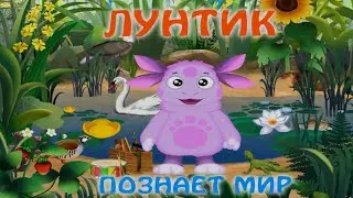 Лунтик познаёт мир.