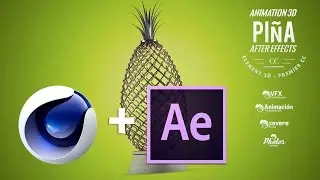 Piña Luminoza