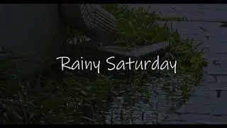 Rainy Saturday (BlackMagic Pocket 4k Cinema Camera/EF-70-300mm USM+iS/Viltrox EF-M2II-ProRES422HQ)