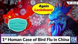 1st Human Case of Bird Flu in China  | ISH News