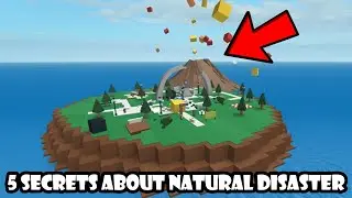 Tips For Roblox Natural Disaster Survival!
