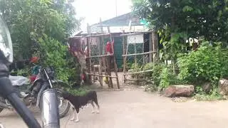 PISOWIFI SET UP! NAKAKAPAGOD PERO MASAYA!