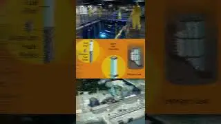 Fukushima  Disasteri: Ongoing Nuclear Cleanup and Decommissioning Efforts